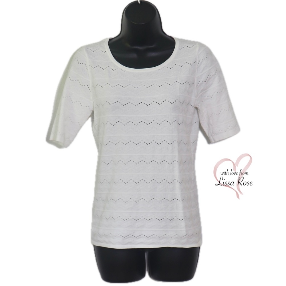 Chevron Short Sleeve Sweater (Ann Taylor)
